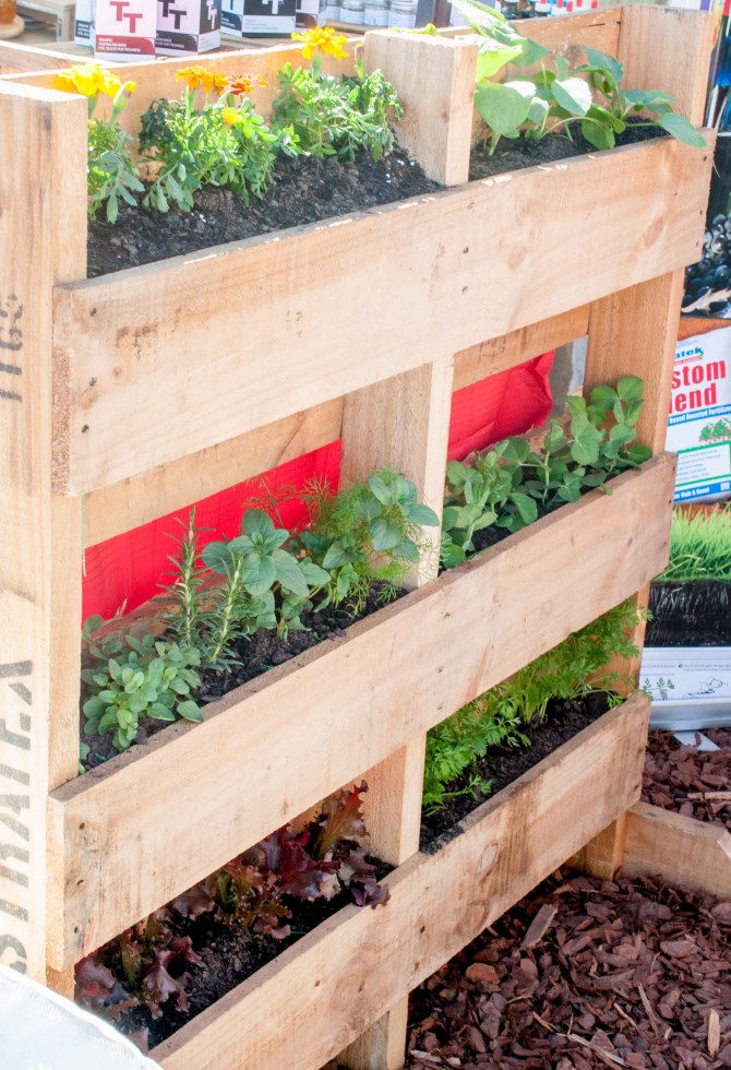 How To Build A Vertical Pallet Garden, How To Make A Vegetable Garden With Pallets