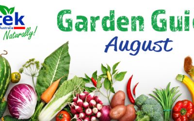 August Garden Guide 2017