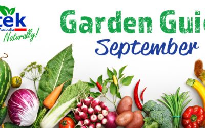 September Garden Guide 2017
