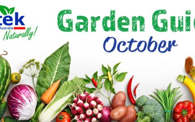 October Garden Guide 2017
