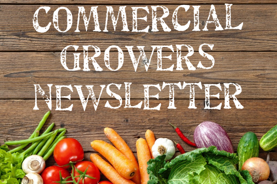 Commercial Growers Newsletter July-September 2019