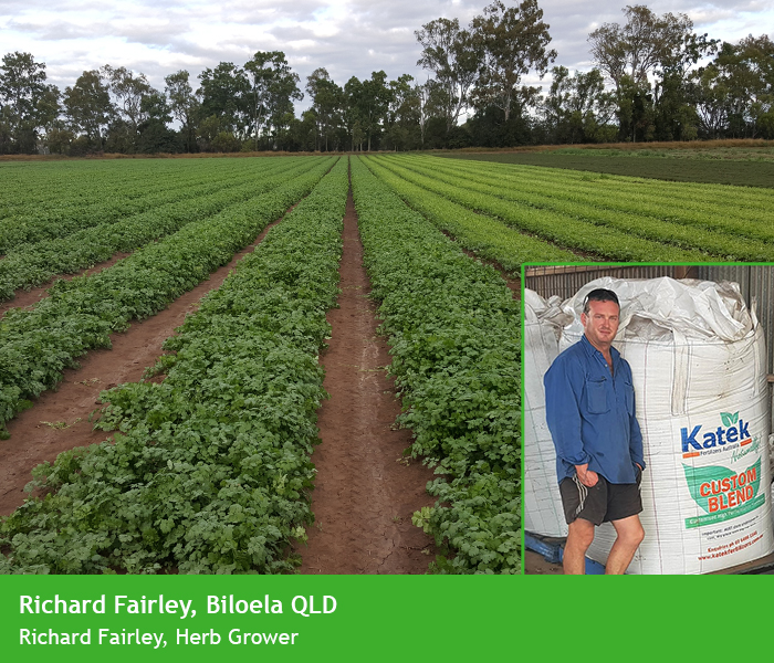 Reliability and Innovation allow Biloela Grower to aim for Top Yields
