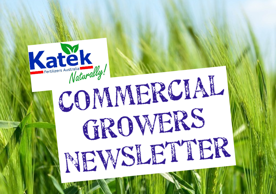 Commercial Growers Newsletter – July to September 2021