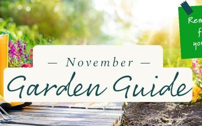 November 2022 Garden Guide