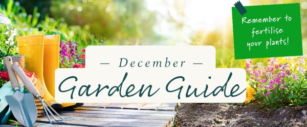 December Garden Guide