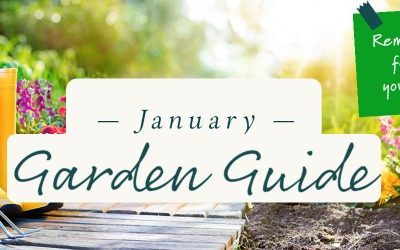 January Garden Guide 2022