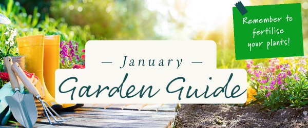 January Garden Guide 2022
